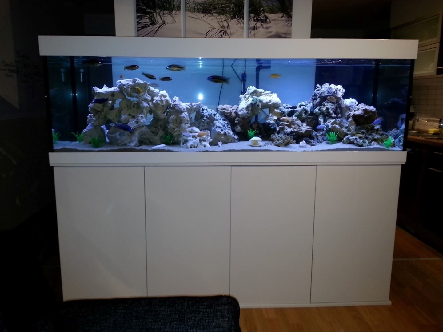 Projekt 1