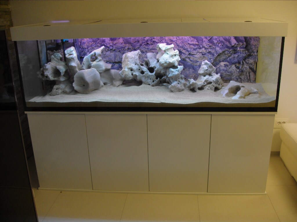 Projekt 6