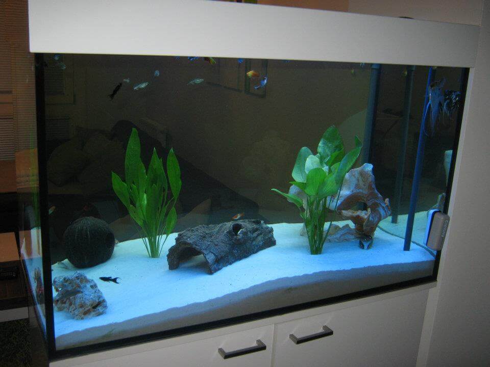 Projekt 20