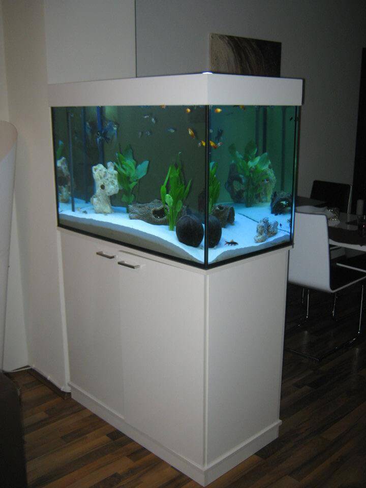 Projekt 21