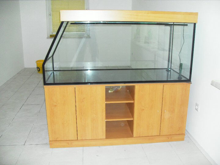 Projekt 24