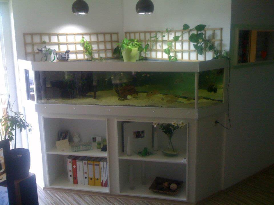 Projekt 28