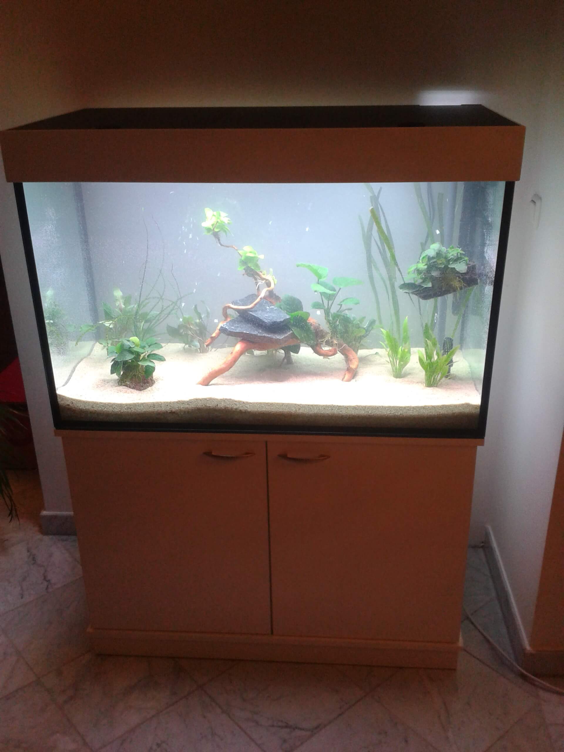 Projekt 40
