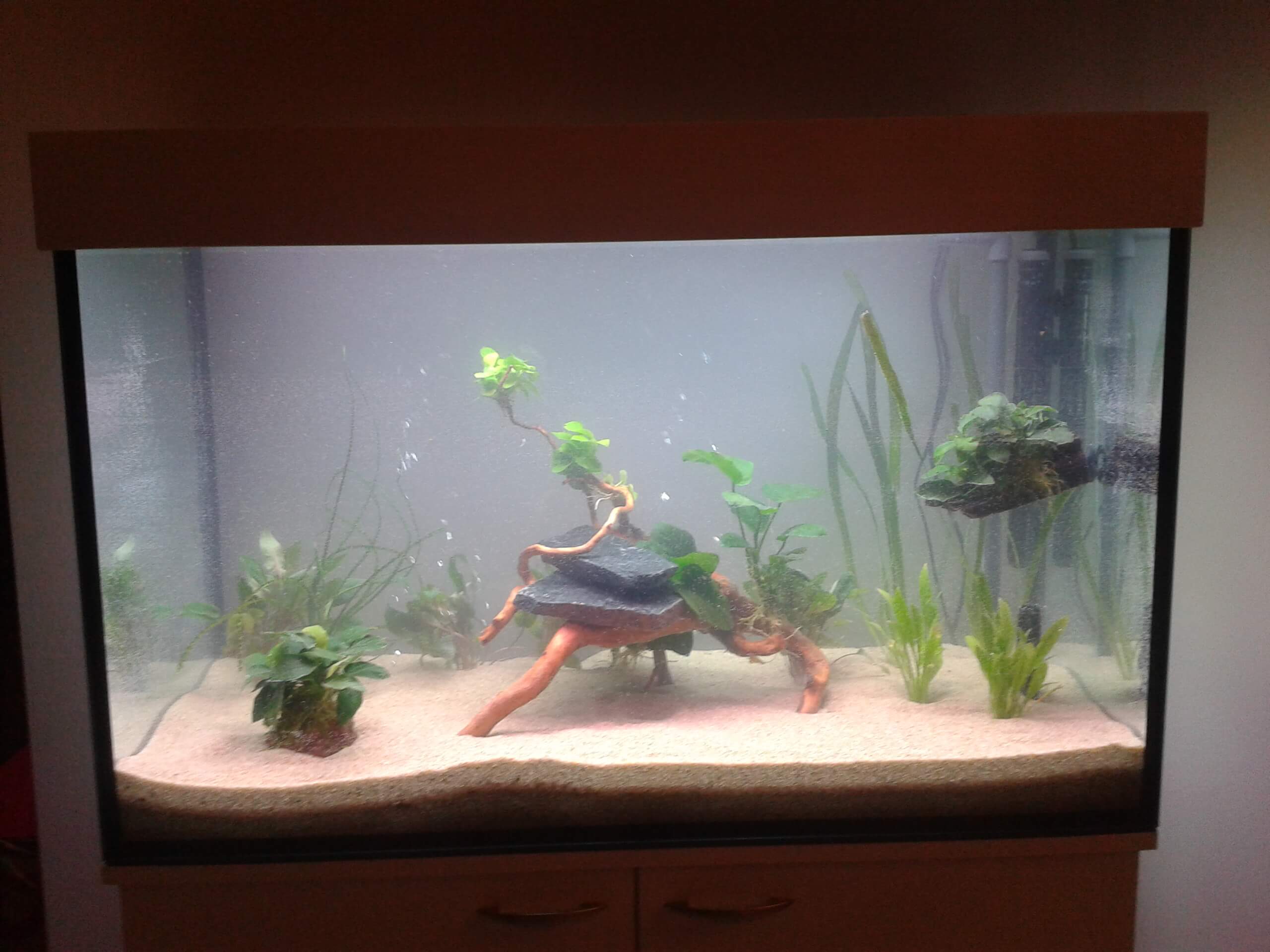 Projekt 41